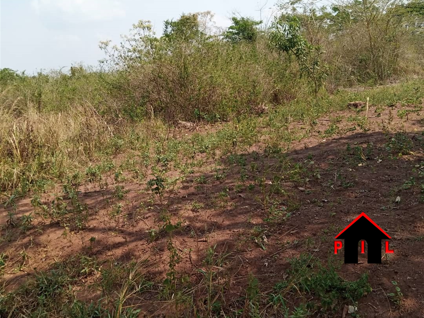 Agricultural Land for sale in Katuugo Luweero