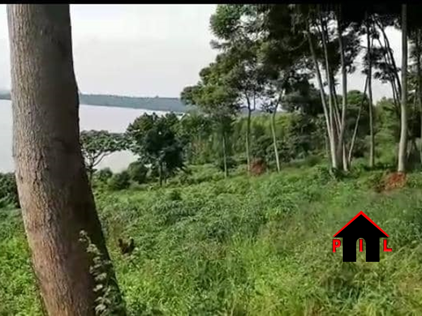 Agricultural Land for sale in Kisigula Luweero