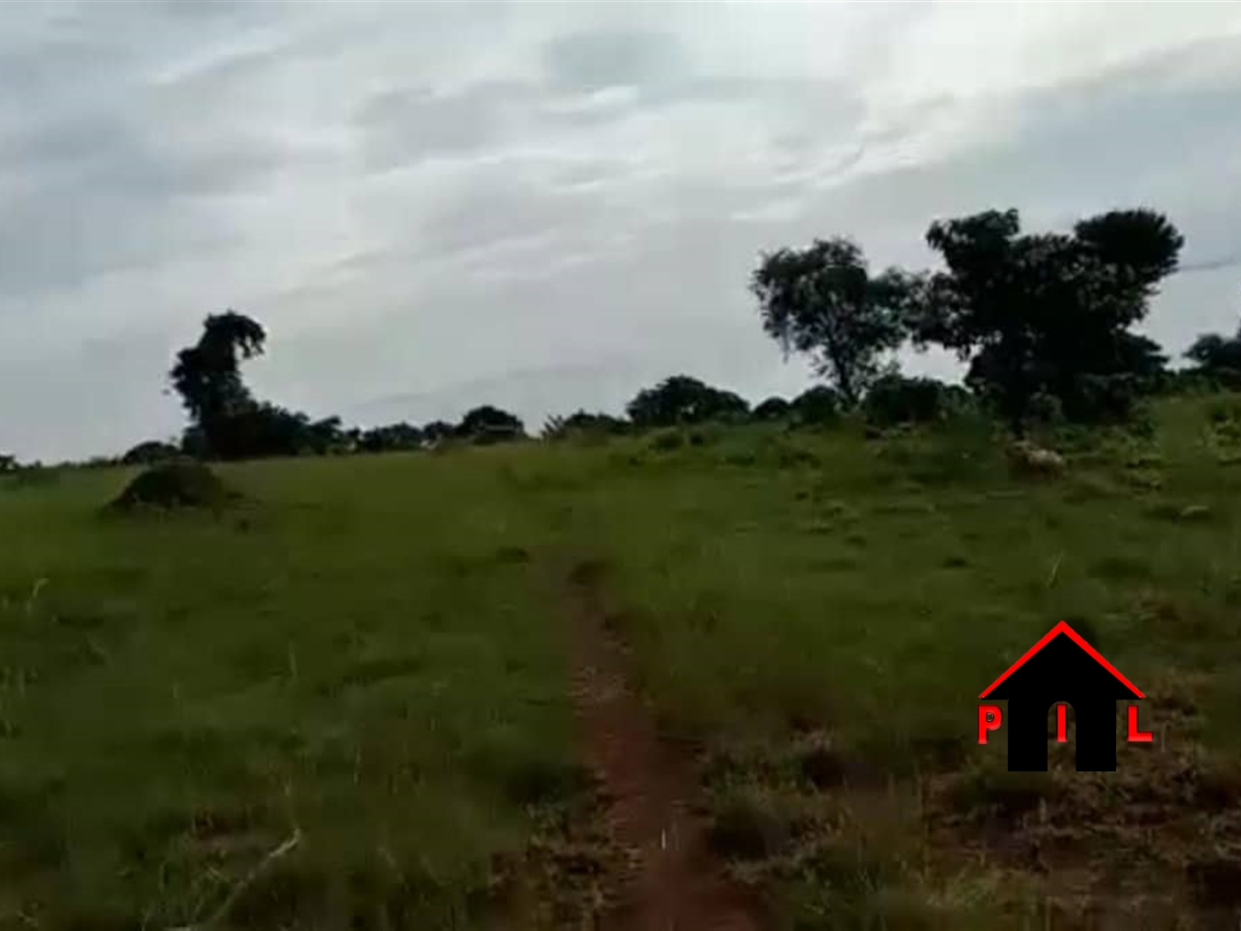 Agricultural Land for sale in Kisigula Luweero
