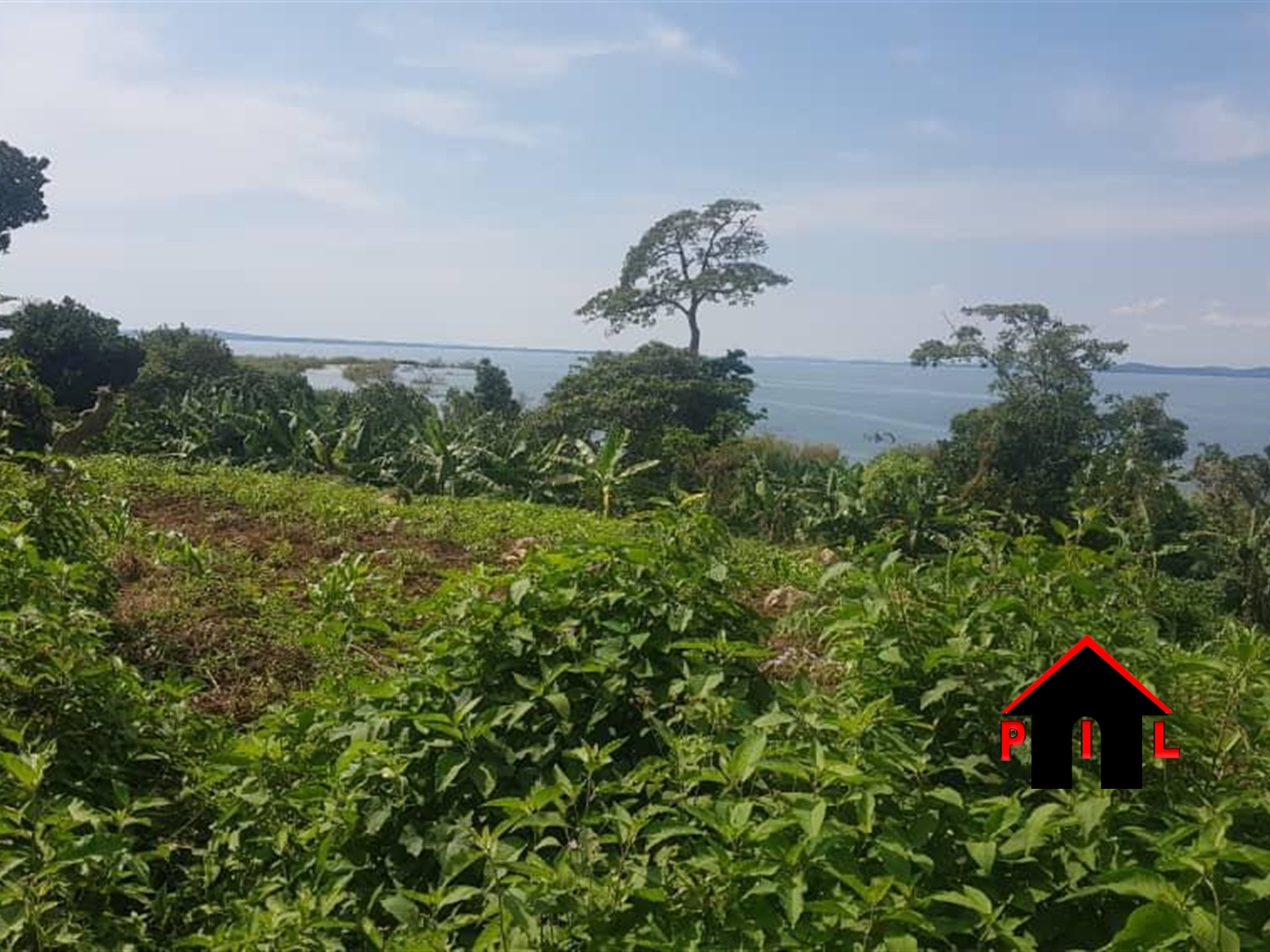 Agricultural Land for sale in Ssesse Kalangala