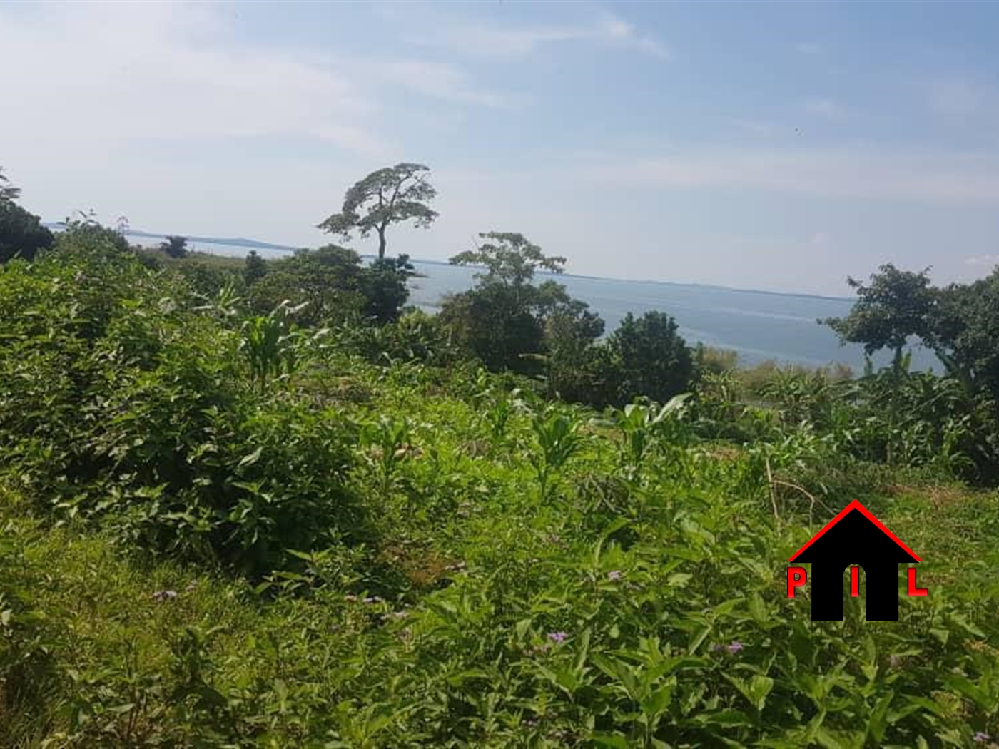 Agricultural Land for sale in Ssesse Kalangala