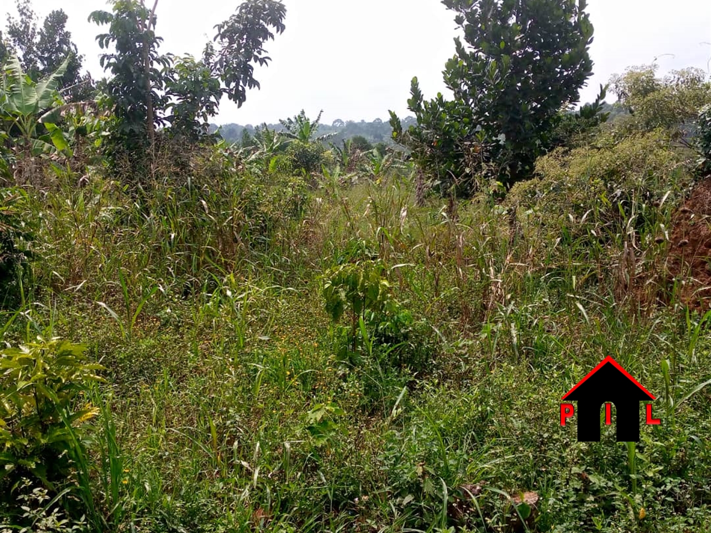 Agricultural Land for sale in Bombo Luweero