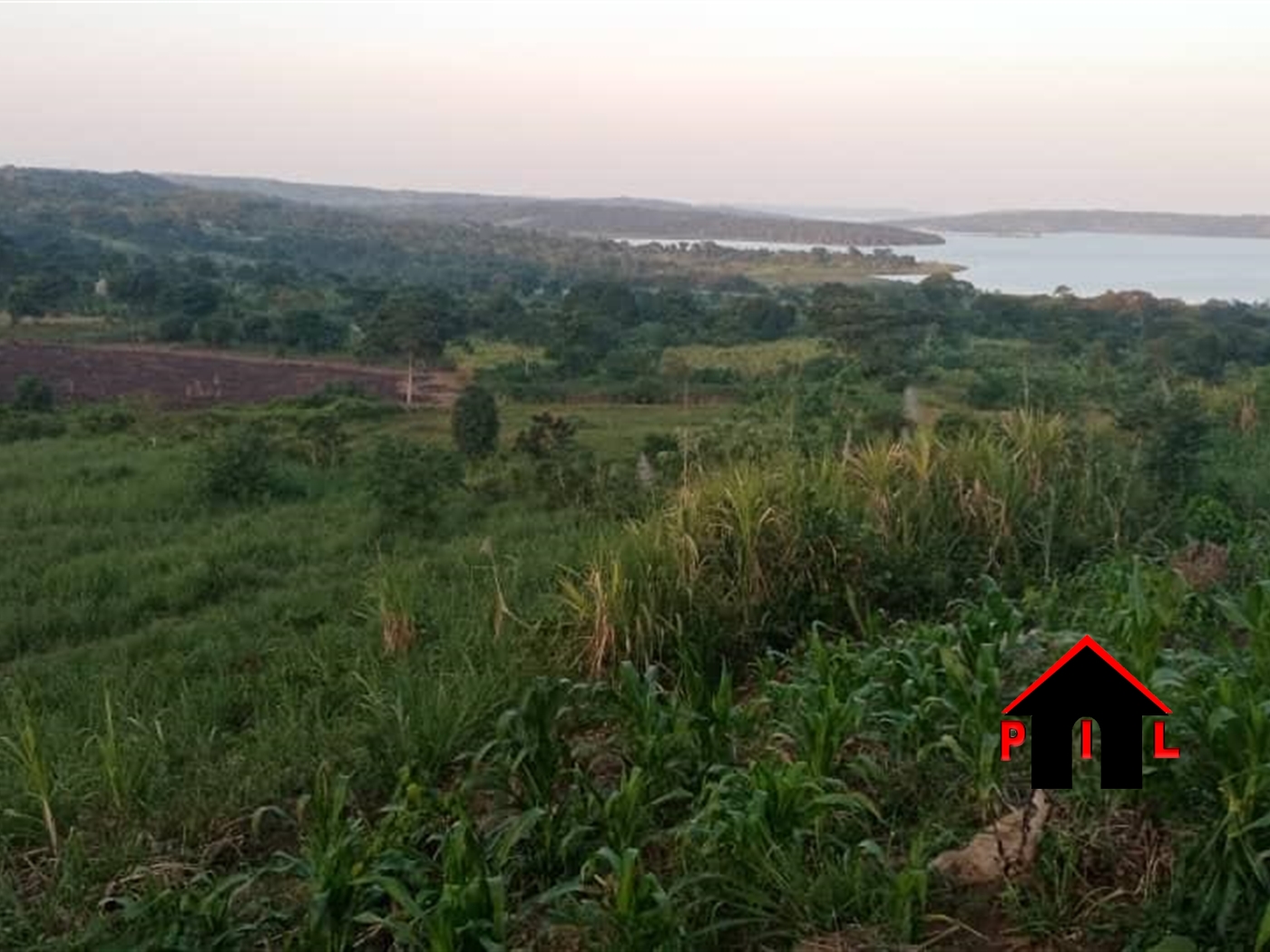 Agricultural Land for sale in Nyenga Mukono