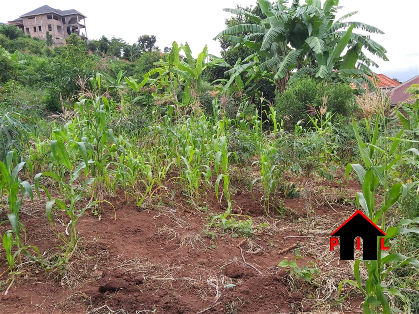 Residential Land for sale in Manyangwa Wakiso