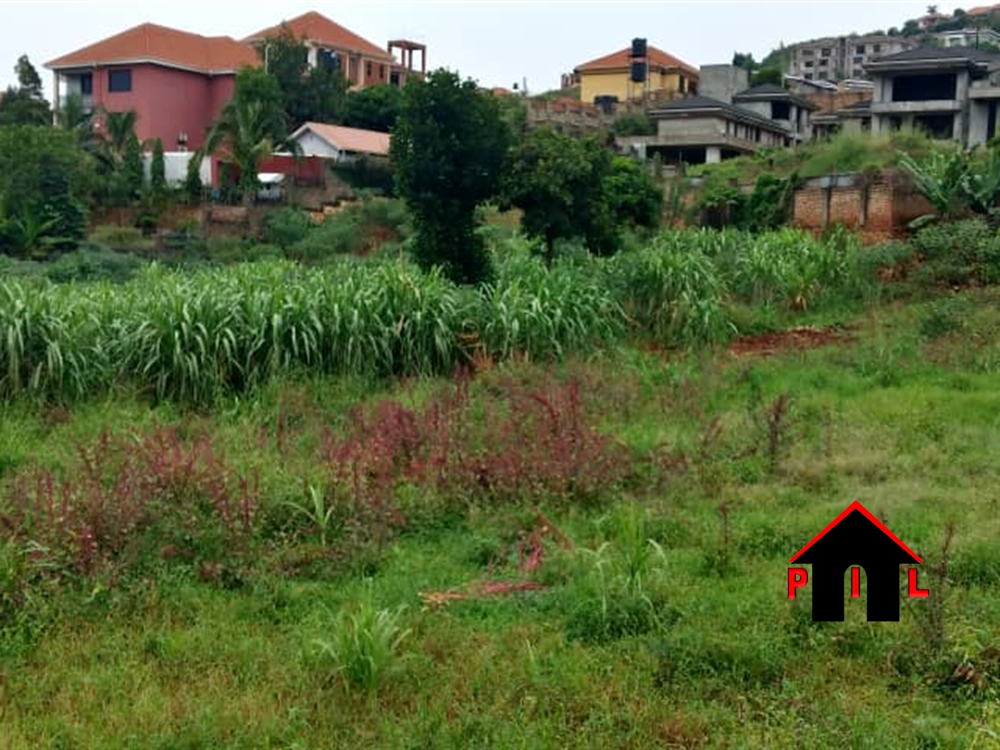 Residential Land for sale in Buddugala Mukono