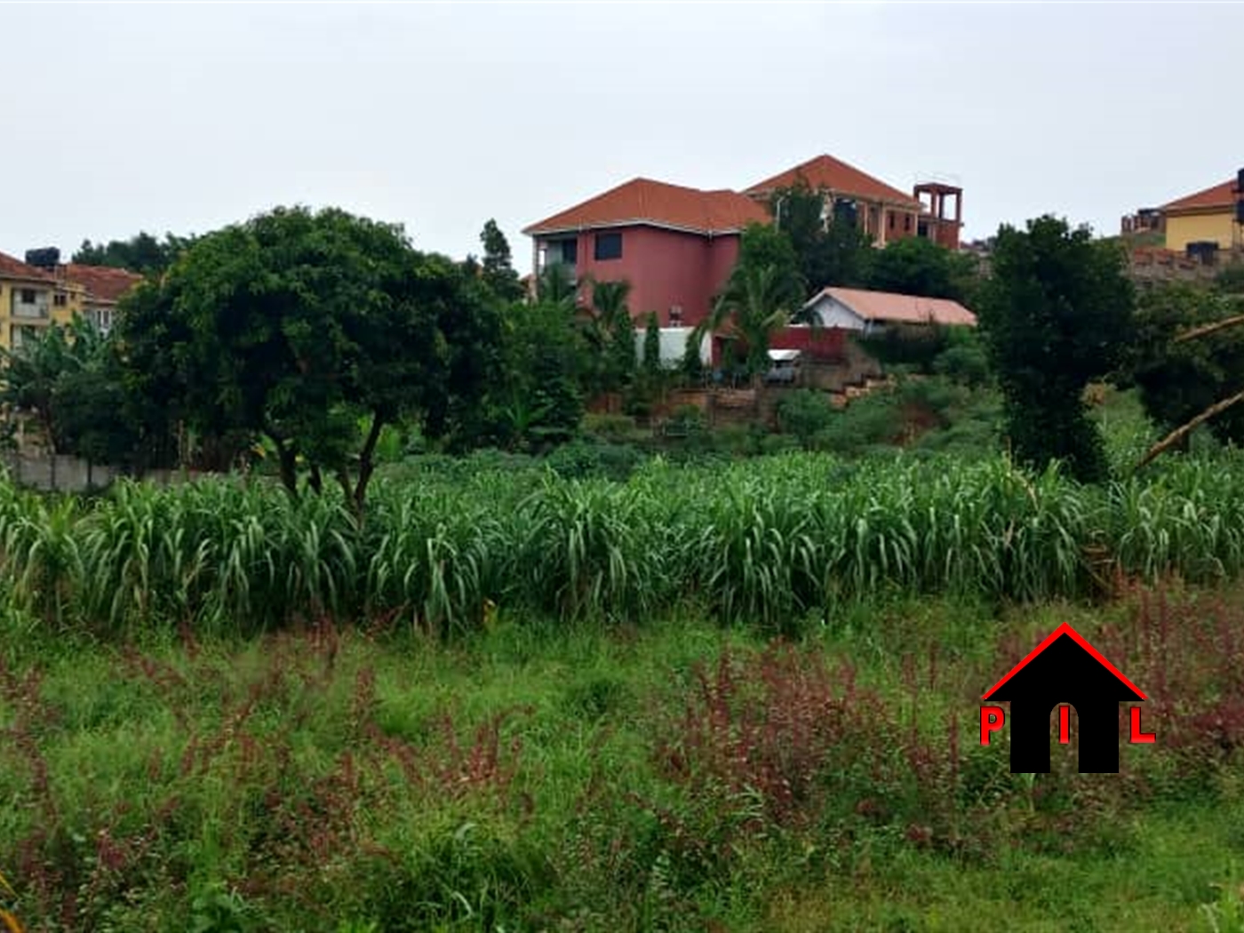 Residential Land for sale in Buddugala Mukono