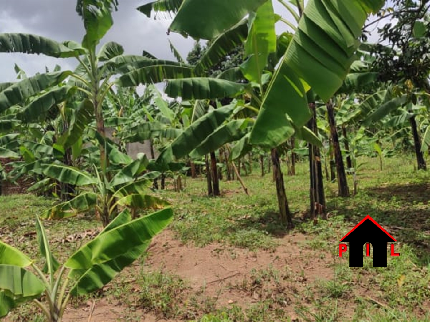 Residential Land for sale in Kajjansi Wakiso