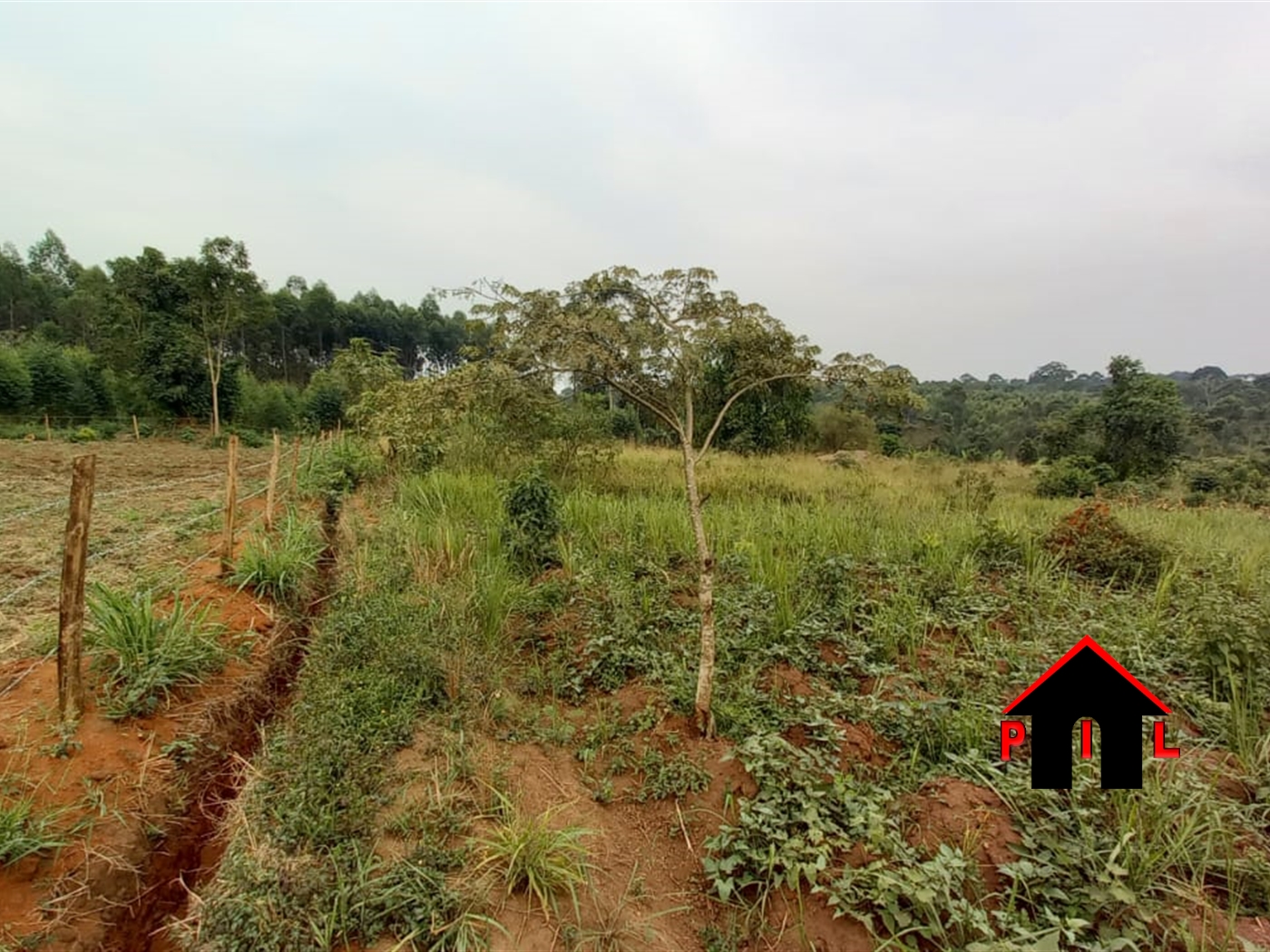 Agricultural Land for sale in Kabonge Wakiso