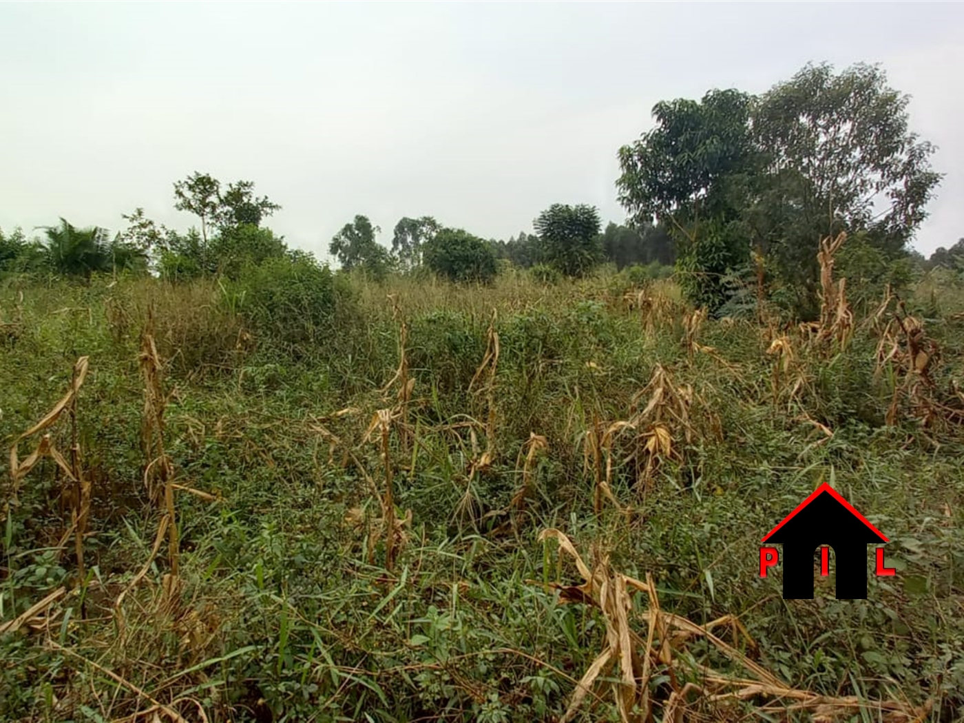 Agricultural Land for sale in Kabonge Wakiso