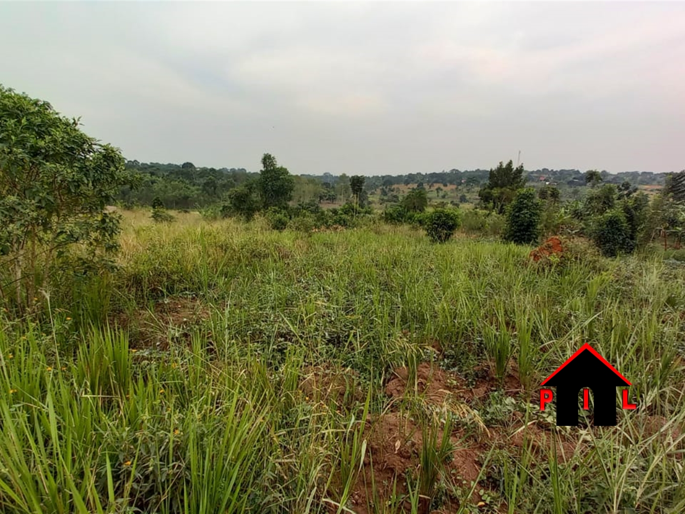 Agricultural Land for sale in Matale Luweero