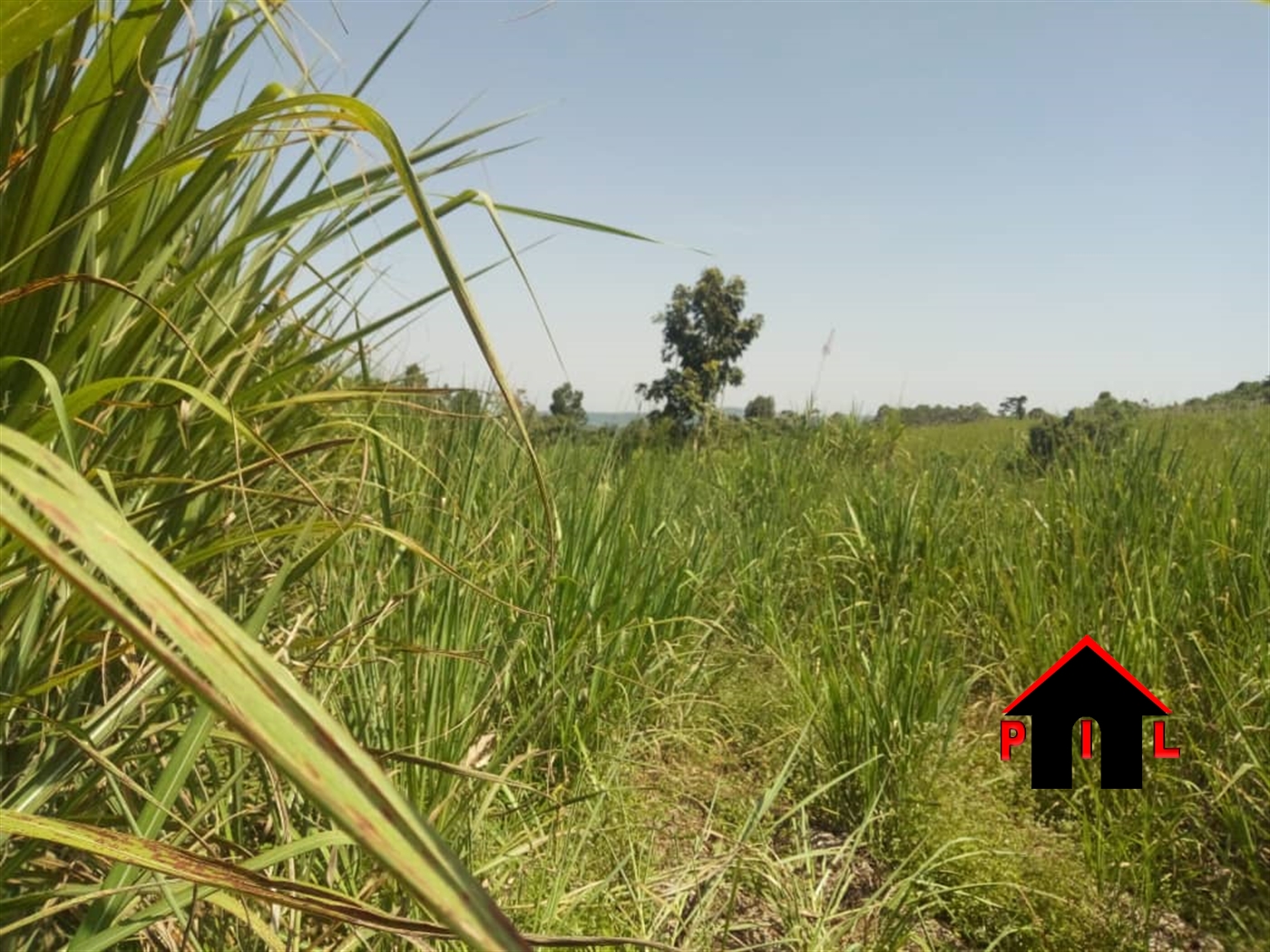 Agricultural Land for sale in Nakayaga Mukono