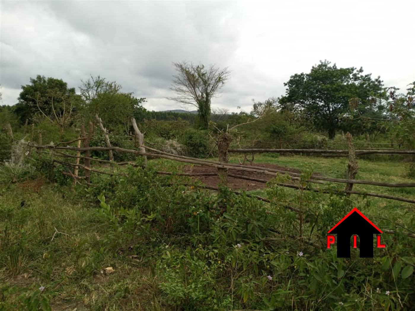 Agricultural Land for sale in Migyeera Nakasongola