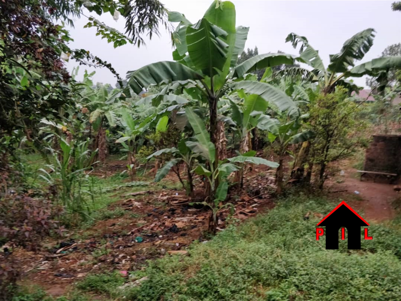 Agricultural Land for sale in Nsangi Masaka