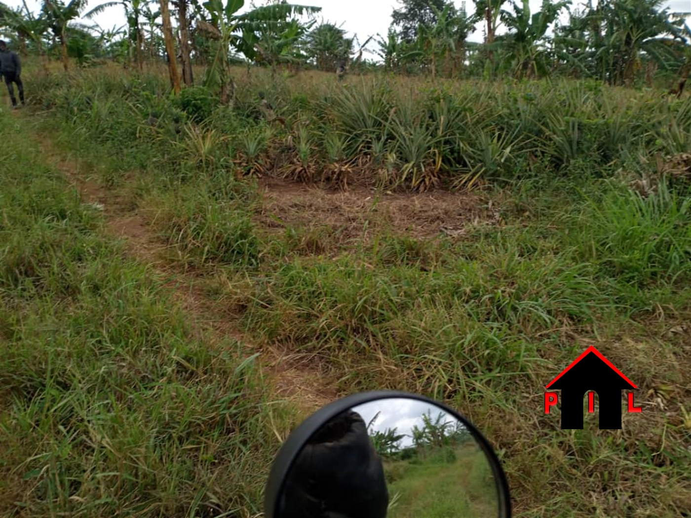 Agricultural Land for sale in Kamila Luweero