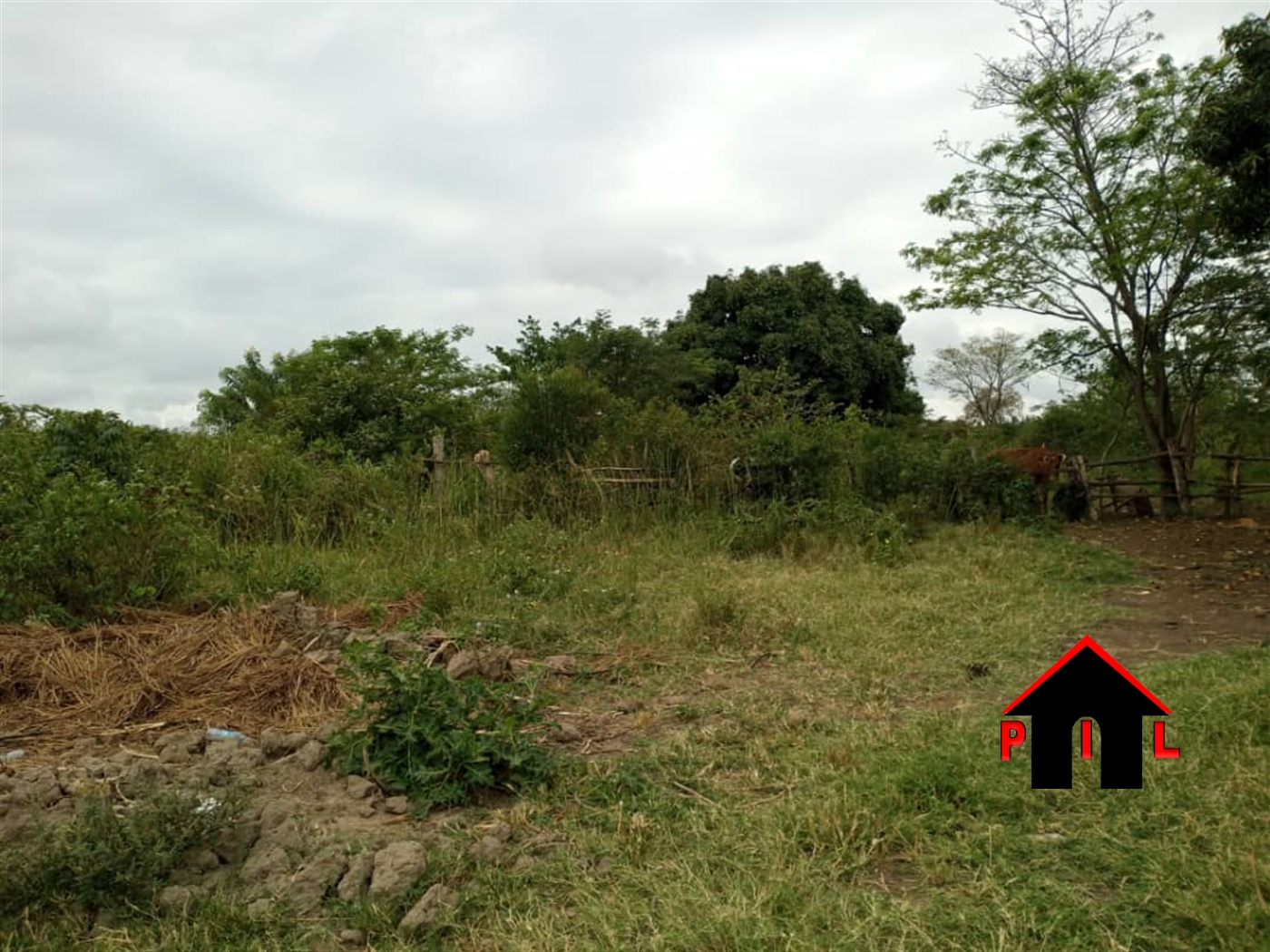 Agricultural Land for sale in Bujumbula Hoima