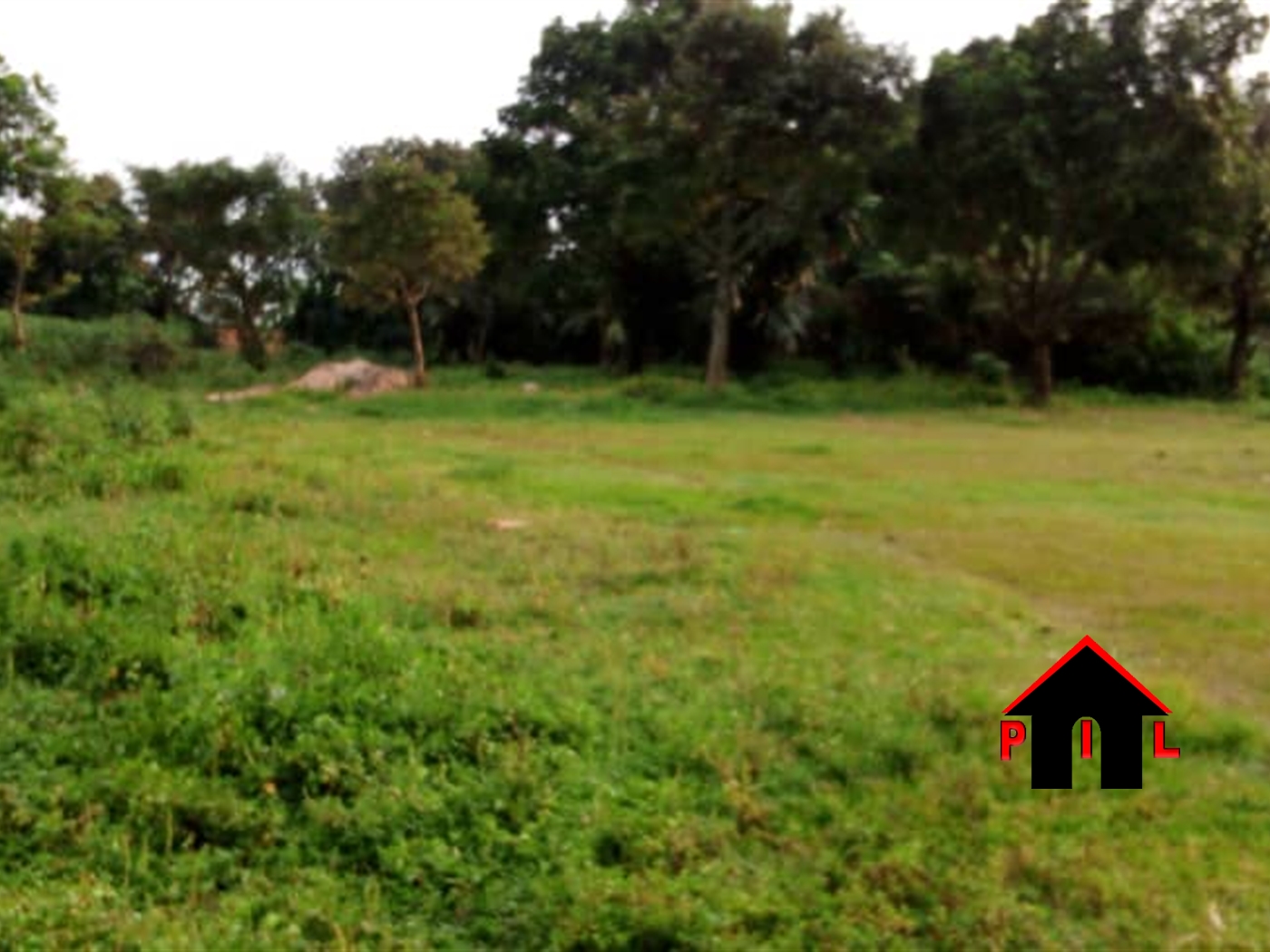 Agricultural Land for sale in Najjembe Buyikwe