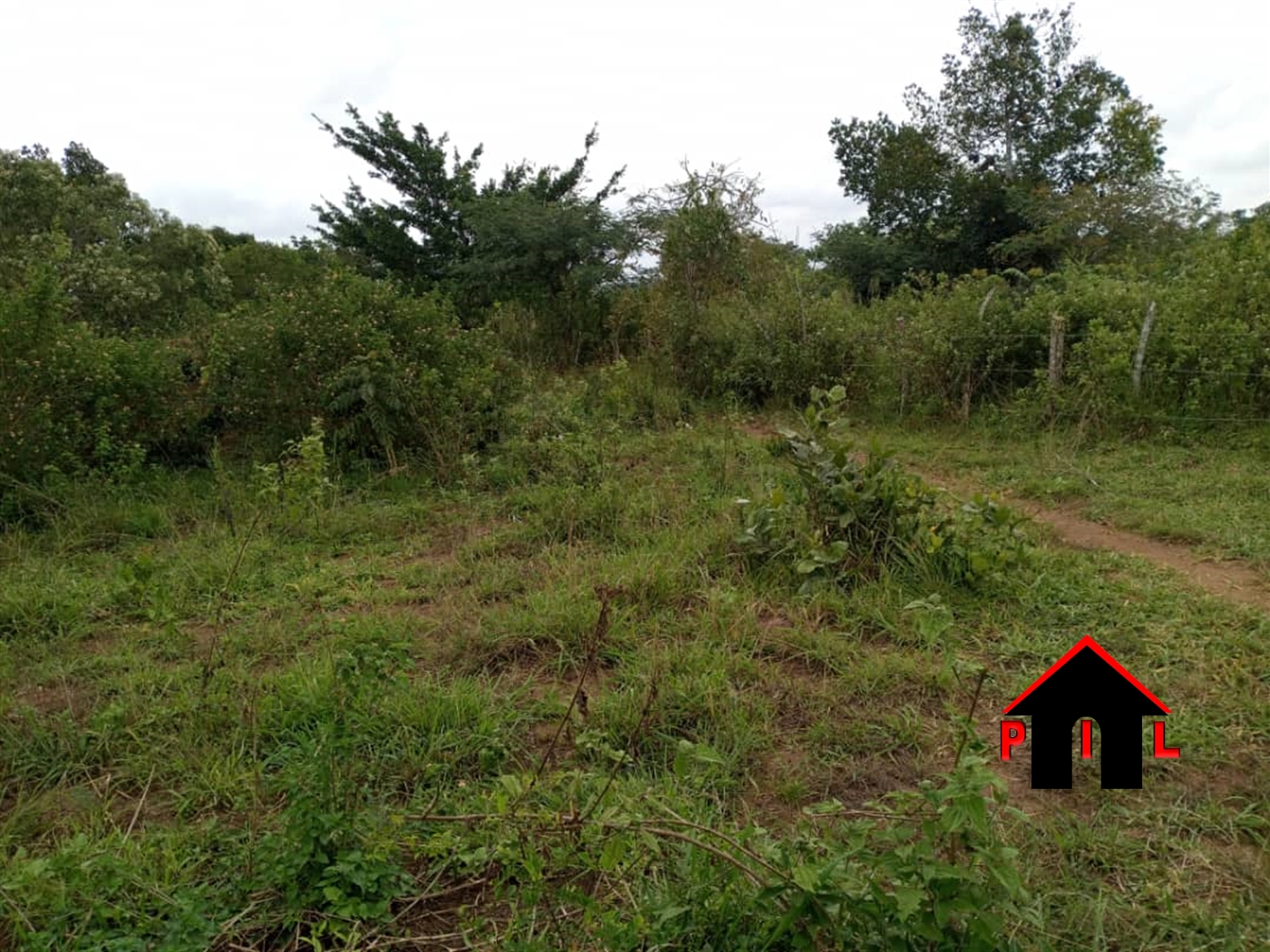 Agricultural Land for sale in Buseruka Hoima