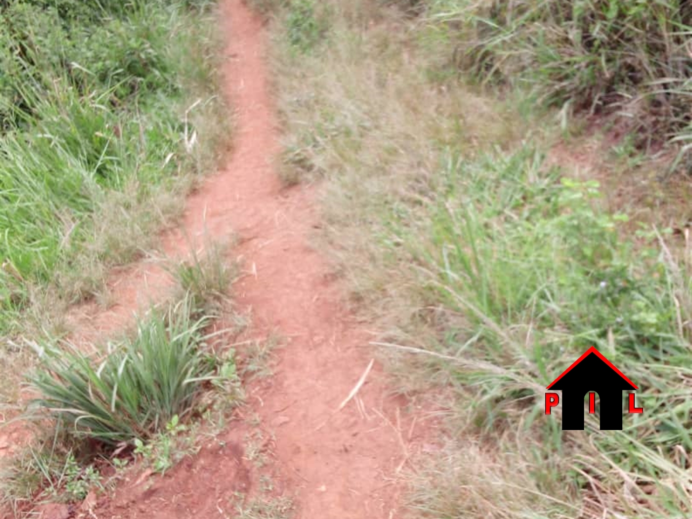 Agricultural Land for sale in Kigugo Buyikwe