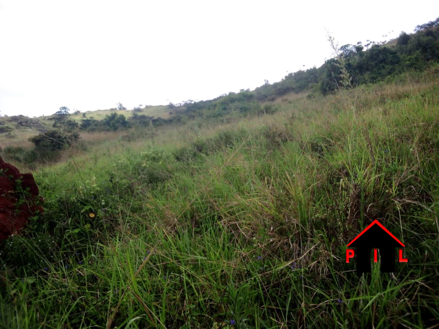 Agricultural Land for sale in Kigugo Buyikwe