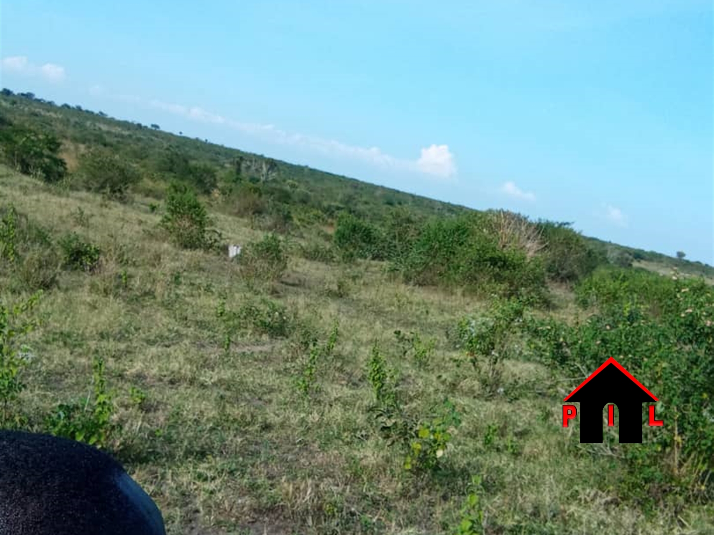 Agricultural Land for sale in Nakitoma Nakasongola