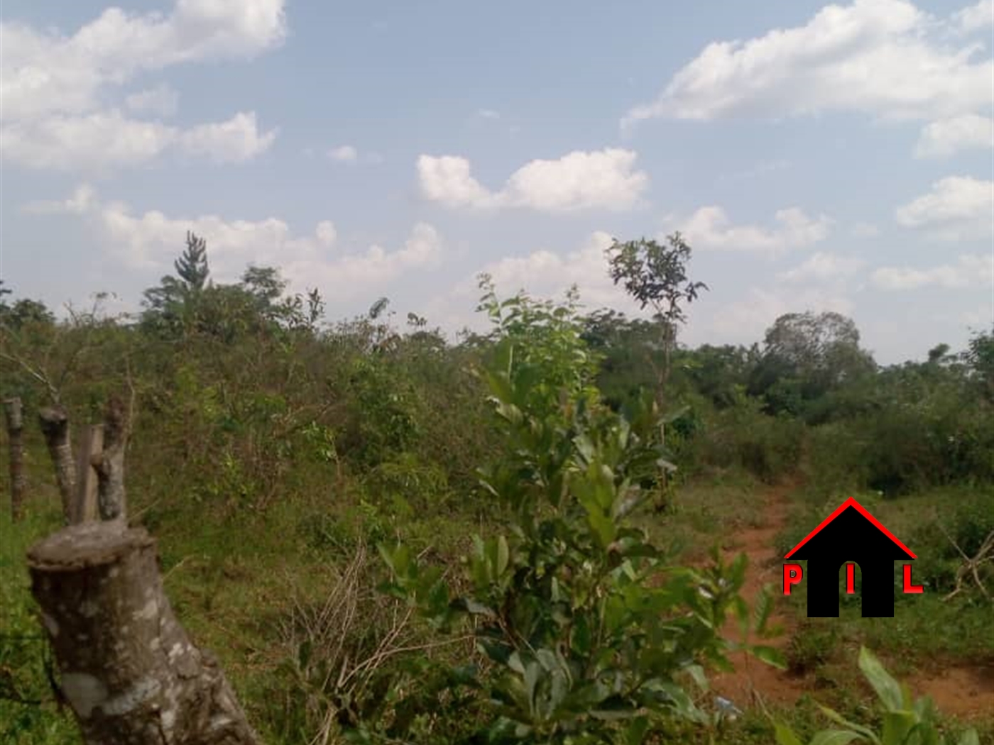 Agricultural Land for sale in Ngaaju Luweero