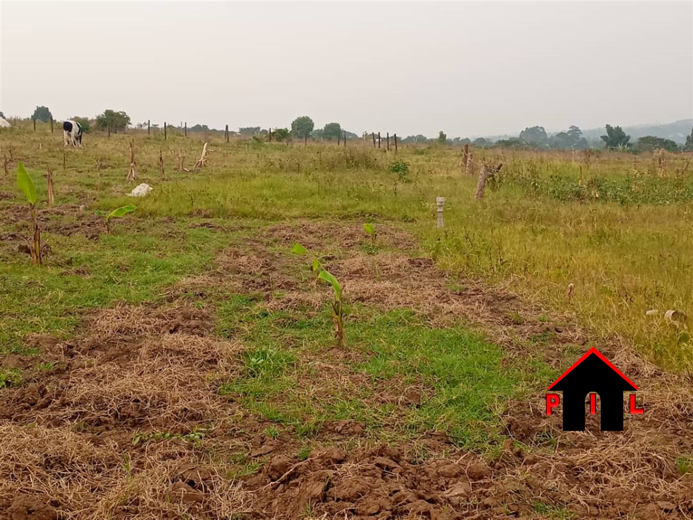 Agricultural Land for sale in Kabweyakiza Mubende