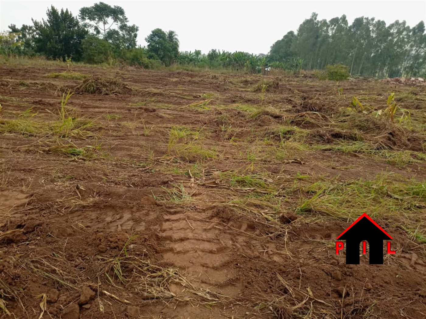 Agricultural Land for sale in Kabweyakiza Mubende