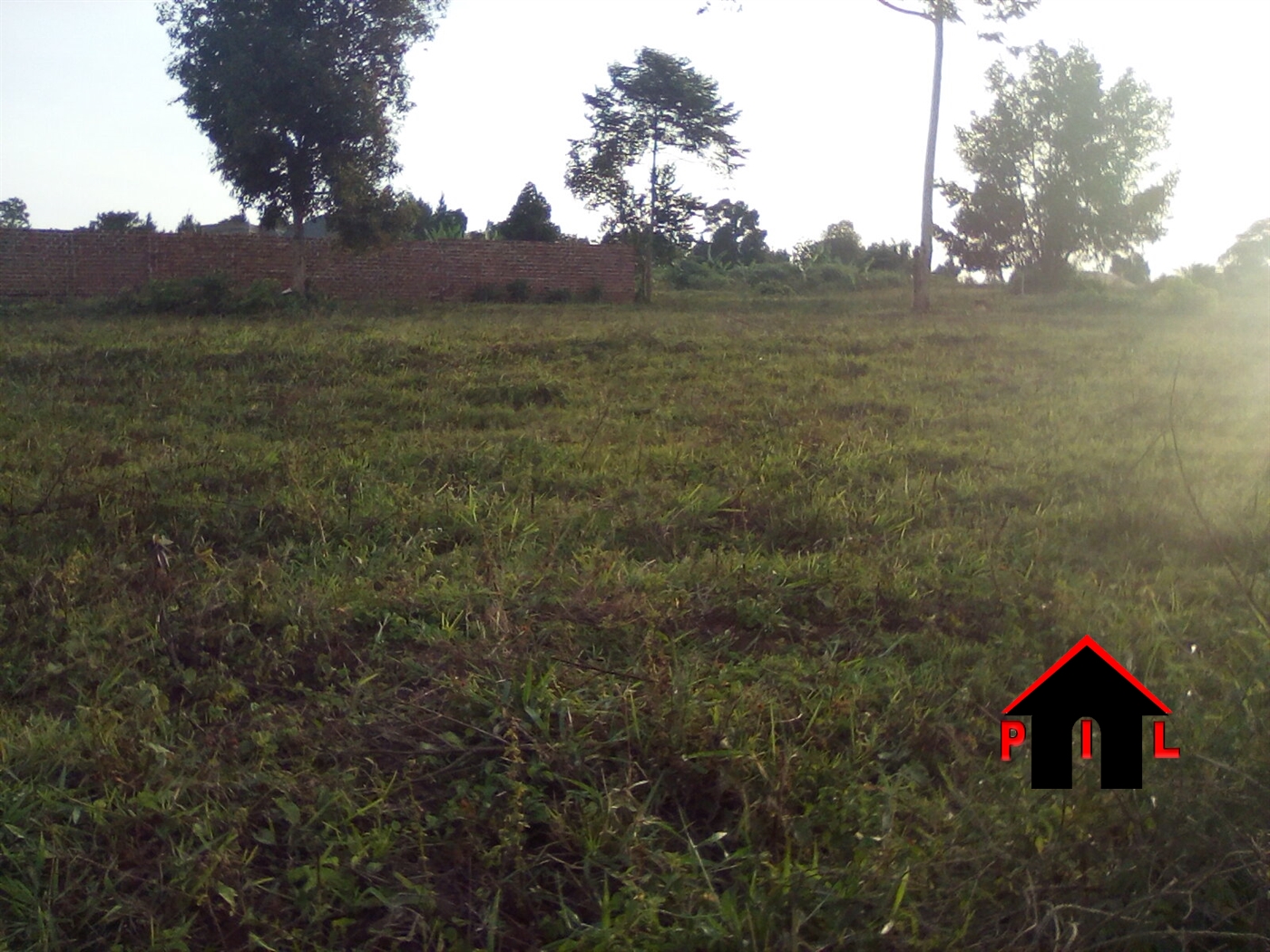 Agricultural Land for sale in Myanzi Mityana