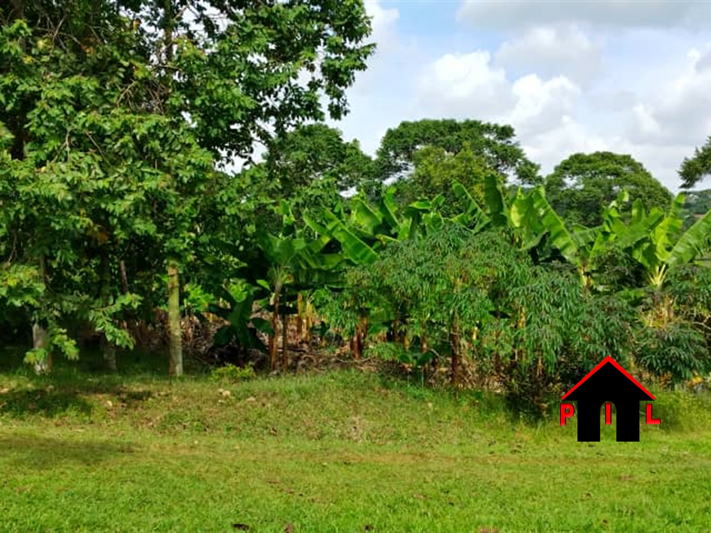 Agricultural Land for sale in Kibanga Luweero