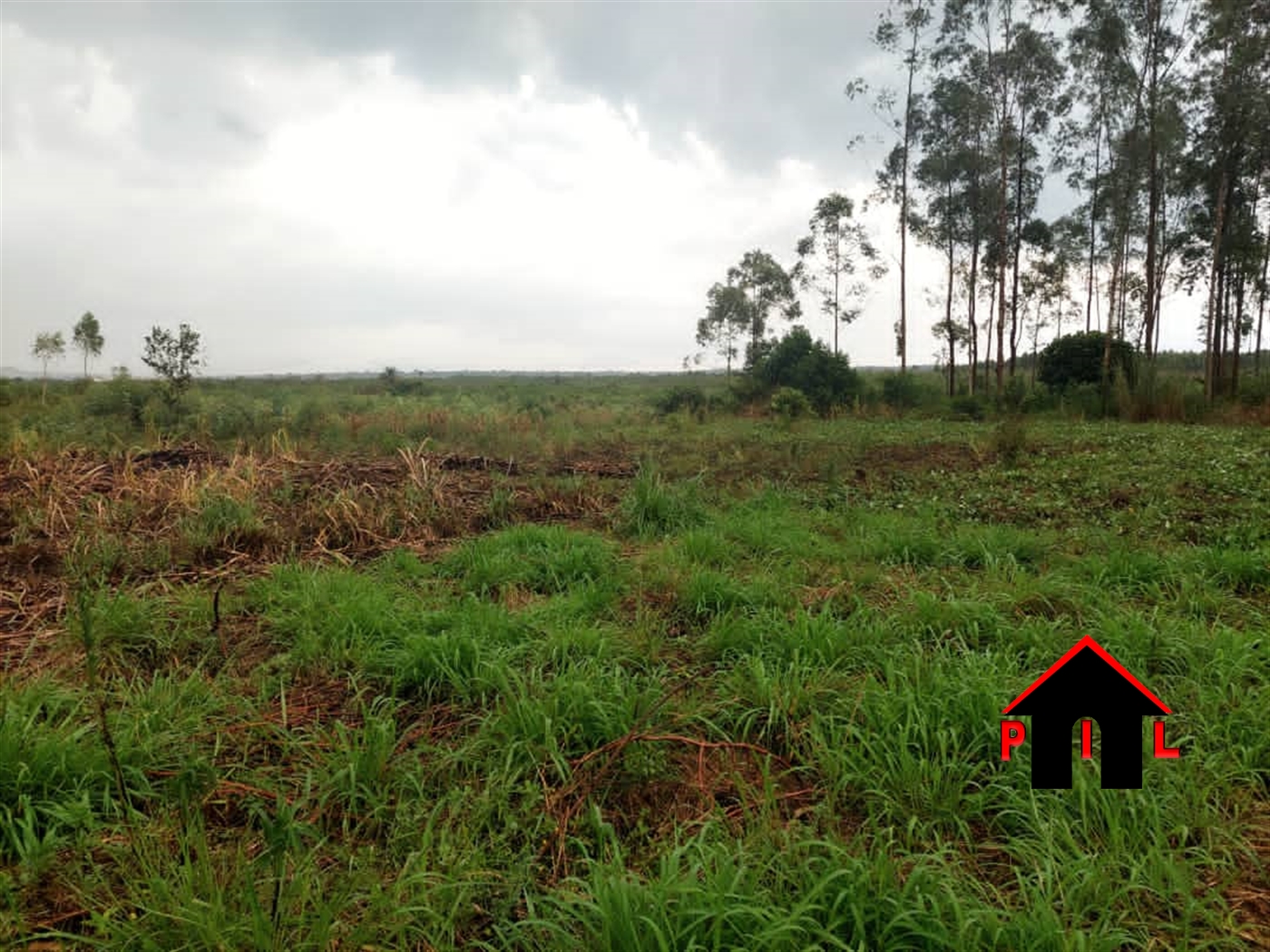 Agricultural Land for sale in Kibanga Luweero