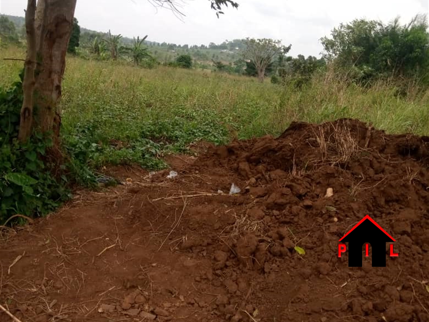 Agricultural Land for sale in Matugga Wakiso