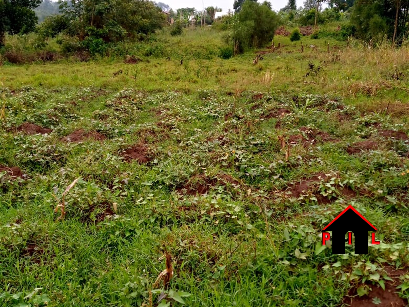 Agricultural Land for sale in Bulwadda Gomba
