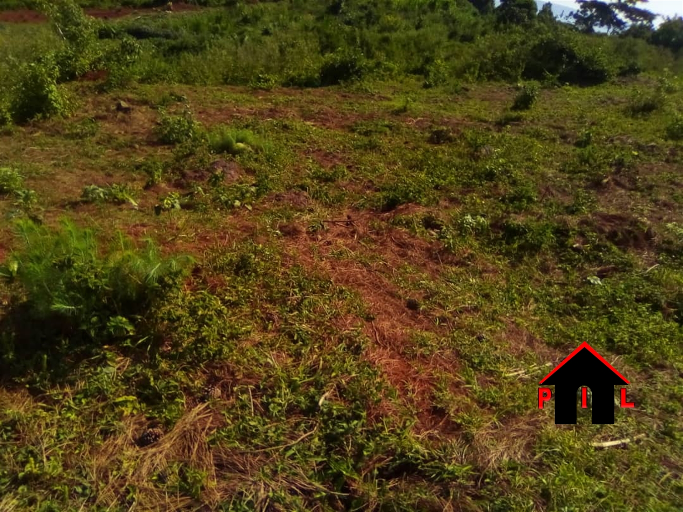 Agricultural Land for sale in Bulwadda Gomba