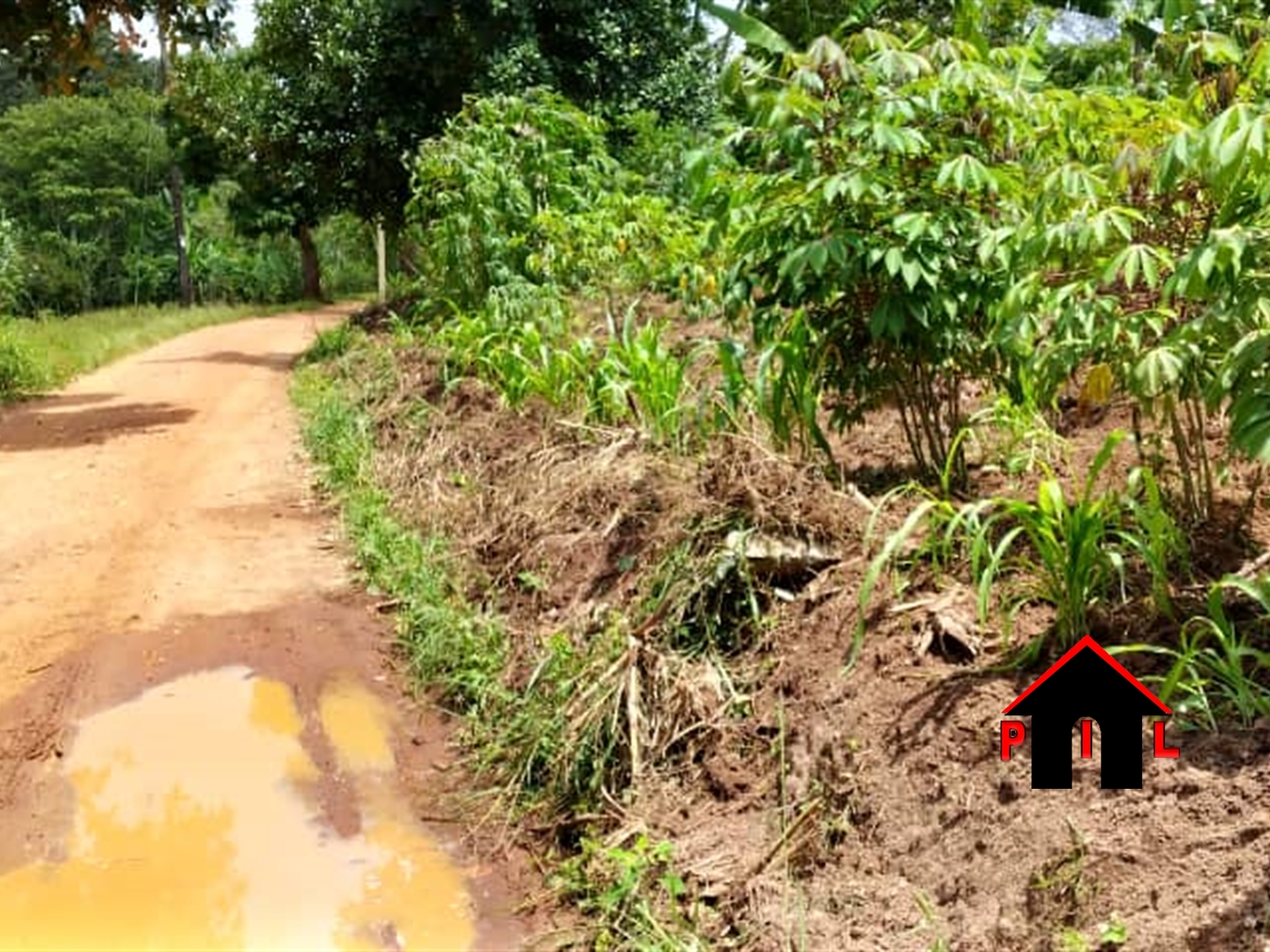 Agricultural Land for sale in Kidolindo Luweero