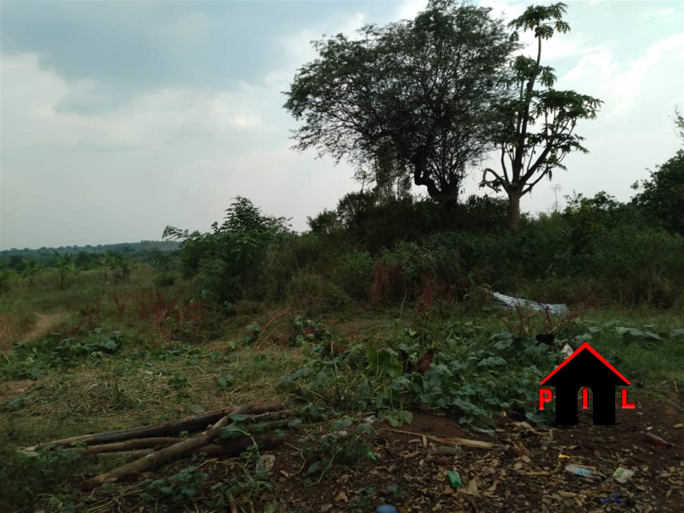 Agricultural Land for sale in Kidolindo Luweero