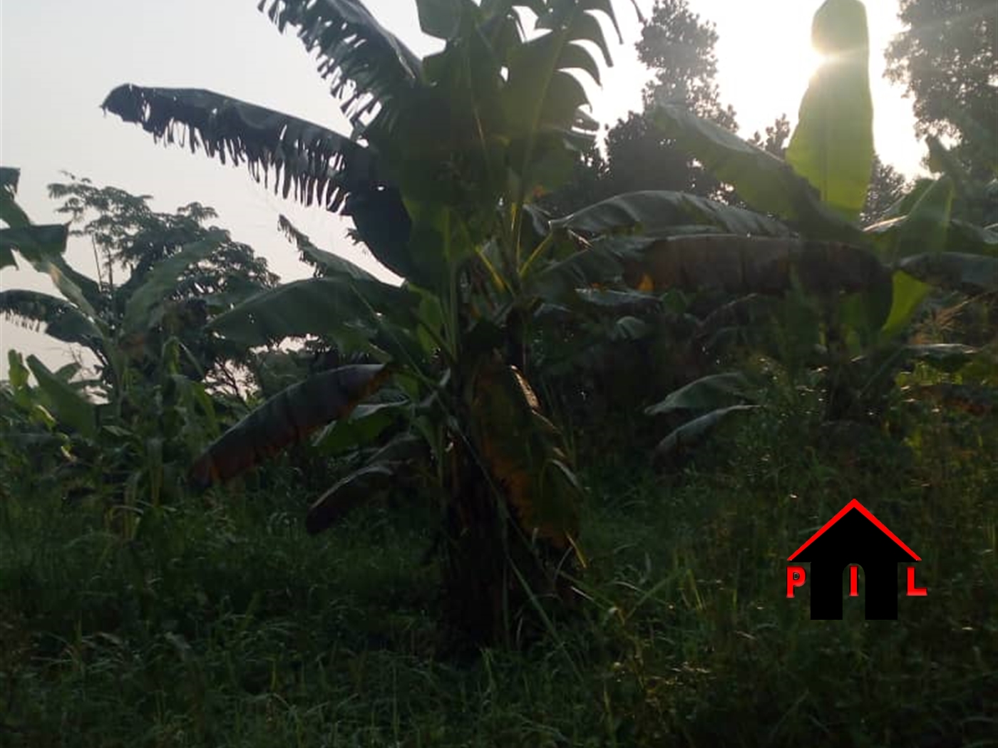 Agricultural Land for sale in Kitamba Nakasongola