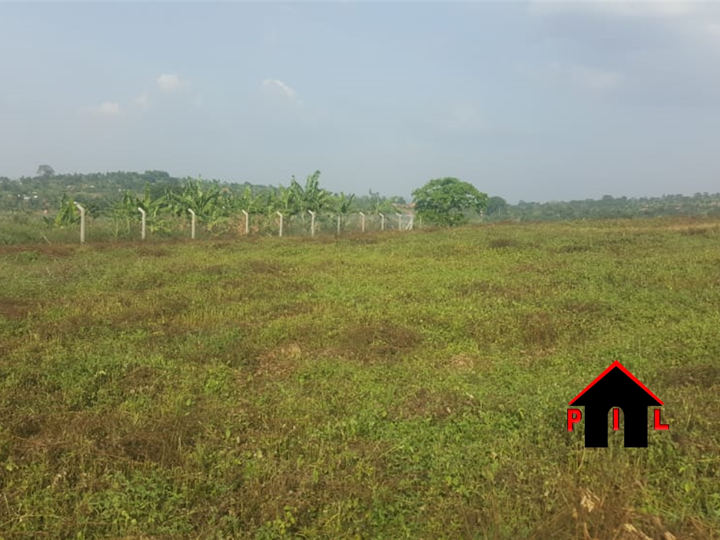 Agricultural Land for sale in Ziloobwe Luweero