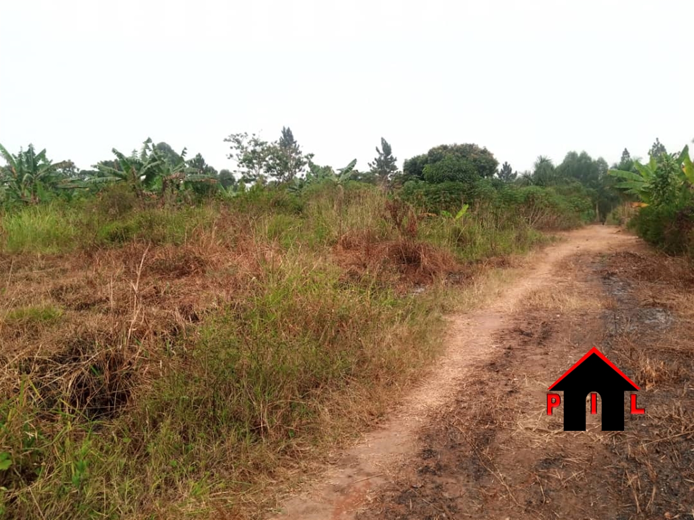Agricultural Land for sale in Buyaga Kibaale