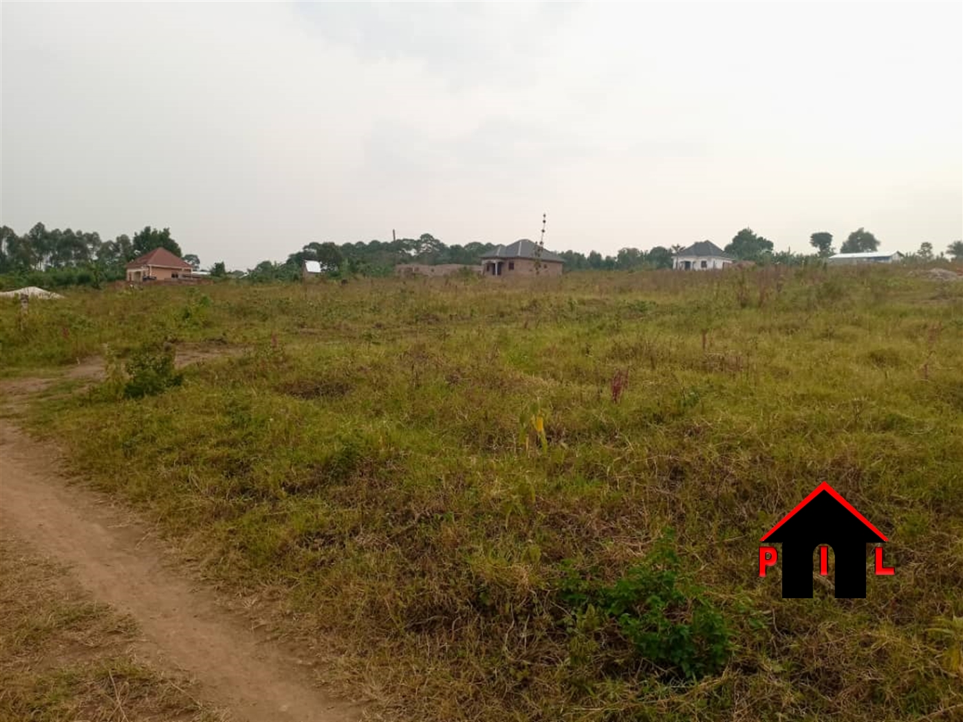 Agricultural Land for sale in Kyankwanzi Mubende