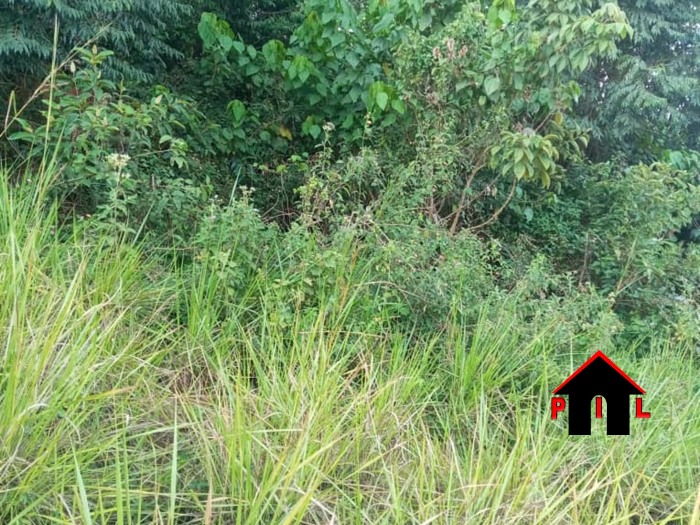 Agricultural Land for sale in Zana Wakiso