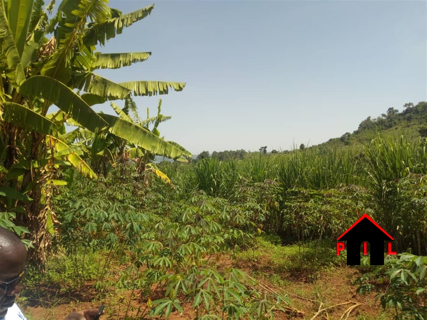 Agricultural Land for sale in Bombo Wakiso