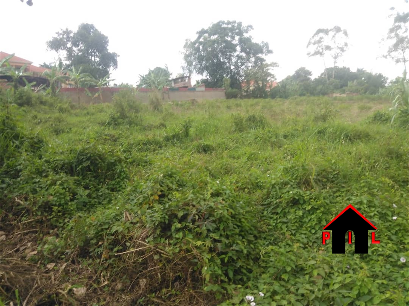 Agricultural Land for sale in Nakonge Nakaseke