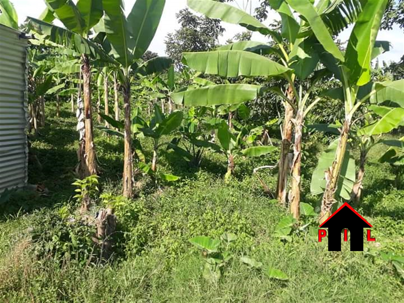 Agricultural Land for sale in Kigenda Luwero