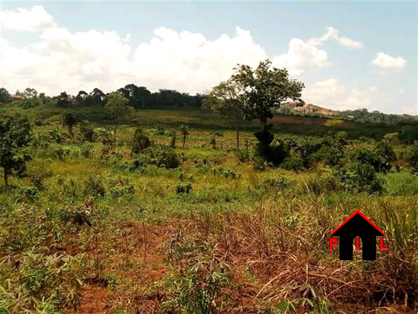 Agricultural Land for sale in Mpongole Luweero