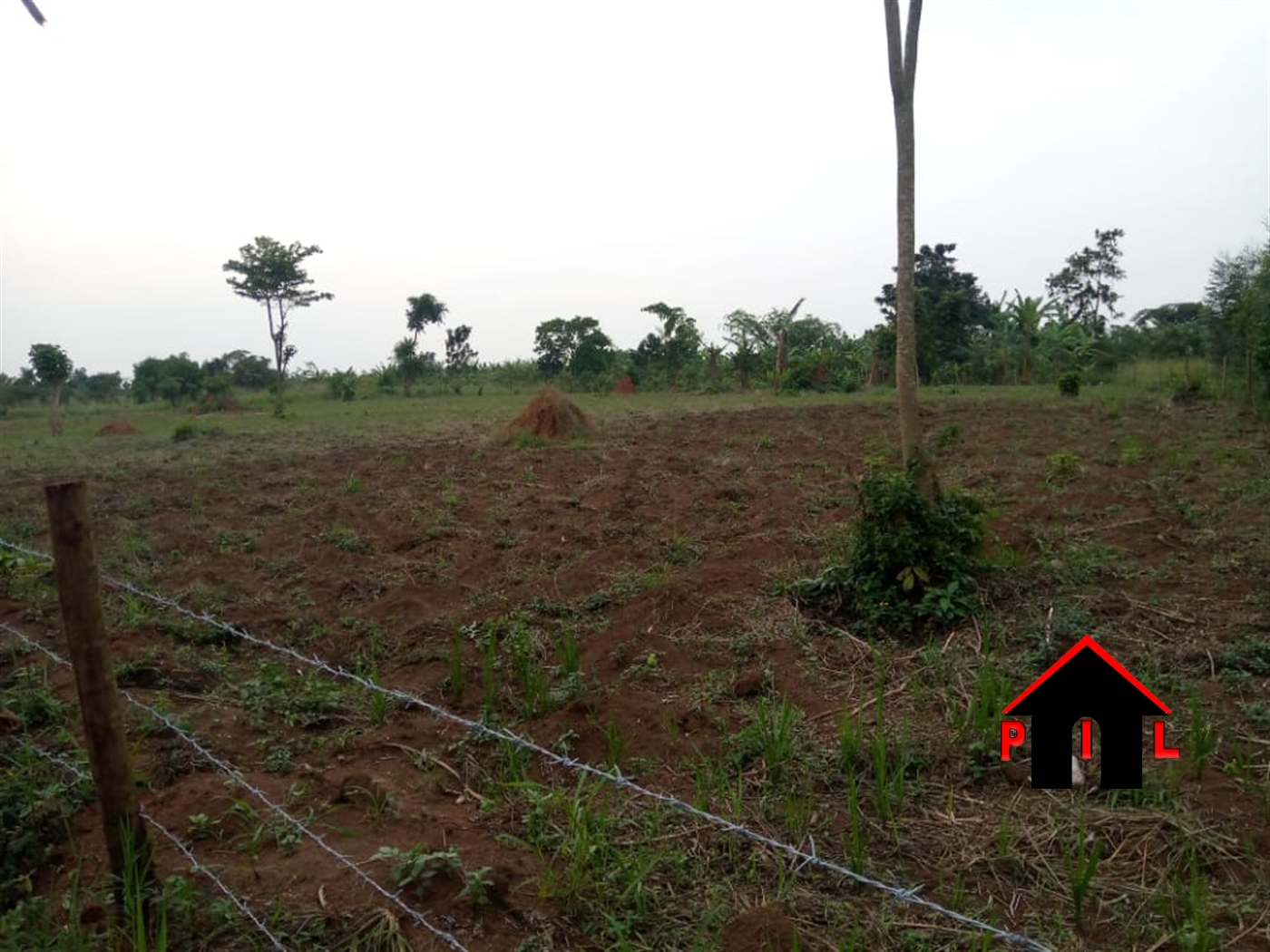 Agricultural Land for sale in Busukuma Wakiso