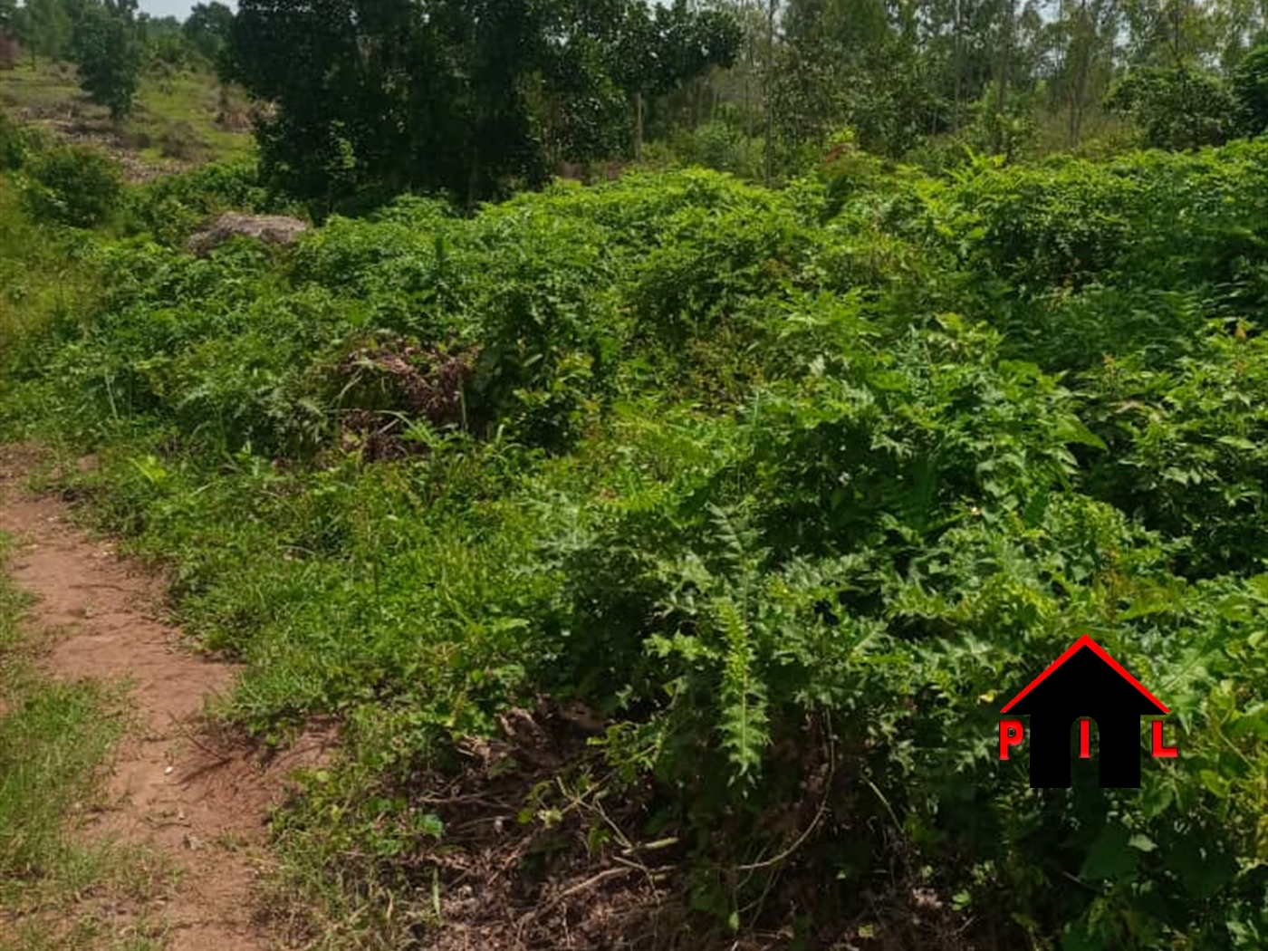 Agricultural Land for sale in Mpoma Wakiso