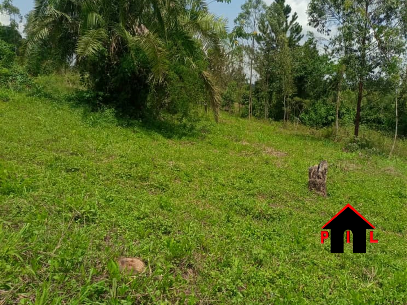 Agricultural Land for sale in Mpoma Wakiso