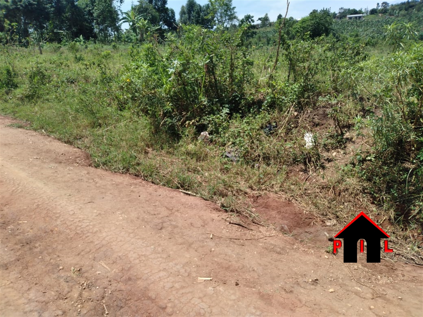 Agricultural Land for sale in Kituntu Mukono