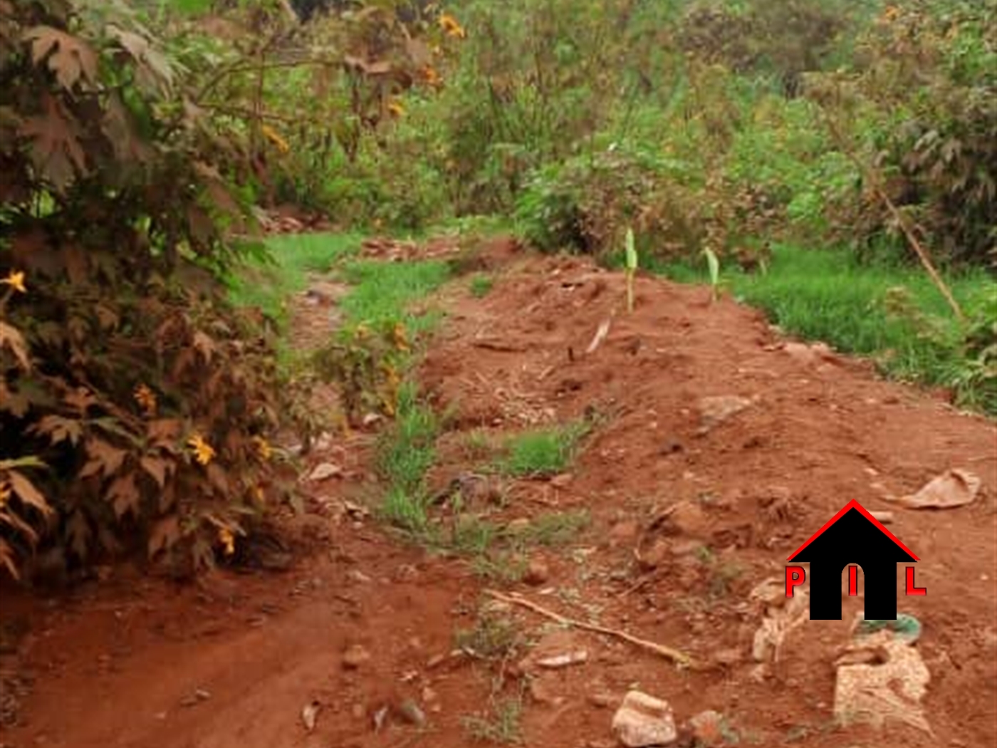 Agricultural Land for sale in Namukono Mukono