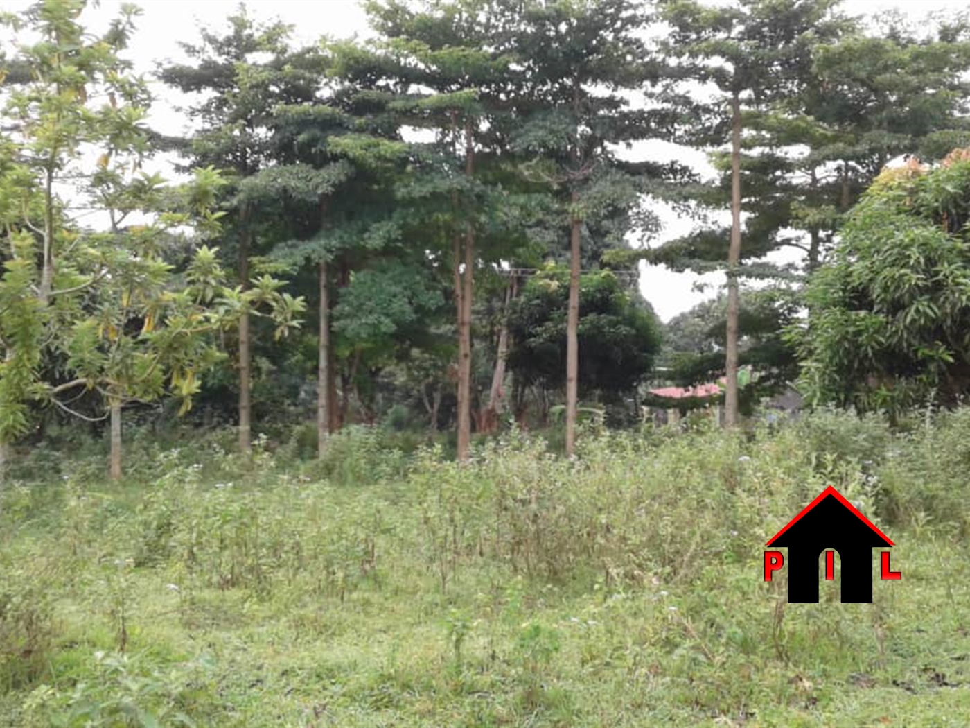 Agricultural Land for sale in Nangunga Buyikwe